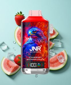 Erdbeer-Wassermelone-Eis JNR Falcon X 18000 Puffs 24ml Dual Mesh Coil Typ-C Schnellladung