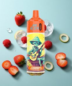 Erdbeere-Himbeer-Eis JNR Alien 10000 Puffs mit 20ml E-Liquid und Typ-C Schnellladung
