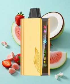 Erdbeere Kokosnuss Wassermelone JNR Cruiser 12000 Puffs No-Charge Einweg-Vape mit 25ml E-Liquid und 3500 mAh Akku