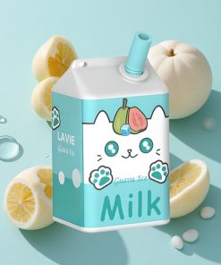 Guava-Eis LAVIE Milch 7000 Puffs 16ML Typ C