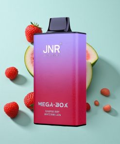 Himbeere Wassermelone JNR Mega Box 25000 Puffs Dual Mesh & Typ-C Ladung
