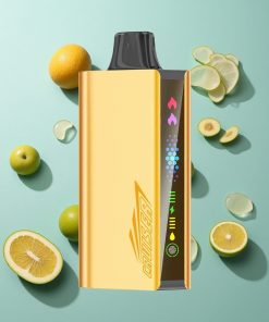 Kühle Minze JNR Cruiser 12000 Puffs No-Charge Einweg-Vape mit 3500-mAh-Batterie