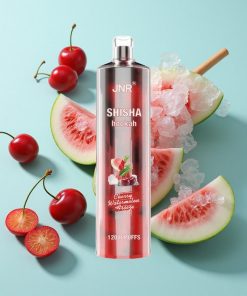Kirsch-Wassermelonen-Eis JNR Shisha Hookah 12000 Puffs 24ml E-Liquid 750mAh Typ-C