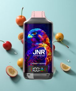 Kirschbeere JNR Falcon X 18000 Puffs Dual Mesh Coil Typ-C Schnellladung