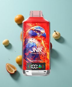 Kirschgeschmack JNR Falcon X 18000 Puffs Dual Mesh Coil Typ-C Schnellladung