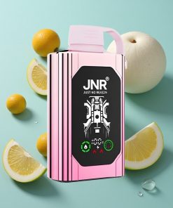 Lady Killa Geschmack JNR Shisha Hookah Box 20500 Puffs Dual Mesh Coil 25ml E-Liquid Typ-C Schnellladung