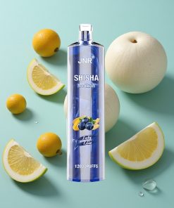 Lady Killa JNR Shisha Hookah 12000 Puffs 24ml 750mAh Typ-C Schnellladung