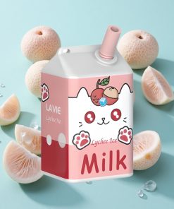 Lychee-Eis LAVIE Milch 7000 Puffs 16ML Typ-C Aufladbar