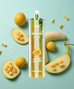 Mango Banane JNR Shisha Hookah 12000 Puffs 24ml 750mAh Typ-C