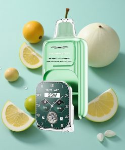 Miami Minze JNR Vape Watch 30000 Puffs mit 19mL E-Liquid und 1000mAh Akku