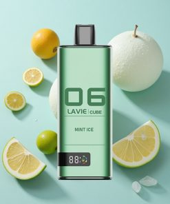 Minze-Eis Lavie Cube 20000 Puffs 28ML Typ C
