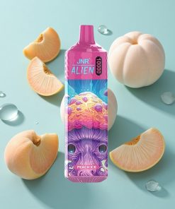 Pfirsich-Eis JNR Alien 10000 Puffs mit 20ml E-Liquid und Typ-C Schnellladung