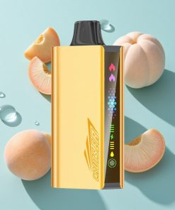 Pfirsich-Eis JNR Cruiser 12000 Puffs No-Charge Einweg-Vape mit 3500 mAh Akku