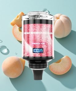 Pfirsich Eis JNR Mega Shisha Hookah 100K mit 100000 Puffs und Typ-C Schnellladung