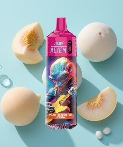 Pfirsich-Heidelbeer-Bonbon JNR Alien 10000 Puffs mit 850mAh Akku und Typ-C-Ladung
