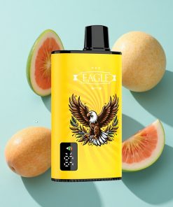 Pfirsich-Mango-Wassermelone JNR EAGLE Smart 23000 Puffs mit Digitalem Display und 25ml E-Liquid-Kapazität