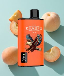 Saftige Pfirsiche JNR EAGLE Smart 23000 Puffs mit Digitalem Display und 25ml e-Liquid