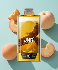 Saftige Pfirsiche JNR Falcon Pro 28000 mit Smart Display und Dual Mesh Coil