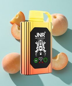 Saftige Pfirsiche JNR Shisha Hookah Box 20500 Puffs HD Display 25ml Dual Mesh Coil