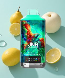 Sauer Apfel Eis JNR Falcon X 18000 Puffs 24ml Dual Mesh Coil Typ-C Schnellladung