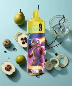 Schwarzer Drache Eis JNR Alien 10000 Puffs mit 850mAh Akku und Typ-C Schnellladung