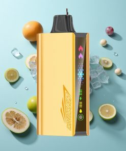 Trauben-Eis JNR Cruiser 12000 Puffs No-Charge mit 3500-mAh-Batterie