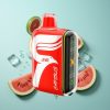 Wassermelone-Eis JNR Capsule 15000 Puffs Dual Mesh Coil Smart LED