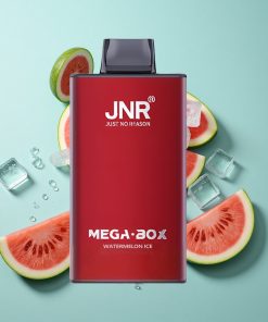 Wassermelone Eis JNR Mega Box 25000 Puffs Typ-C Schnellladung Einweg-Vape