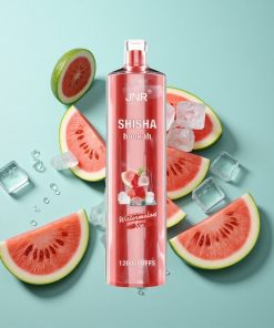 Wassermelone-Eis JNR Shisha Hookah 12000 Puffs mit 24ml E-Liquid und Typ-C Schnellladung