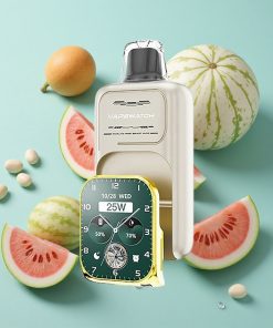 Wassermelone-Eis JNR Vape Watch 30000 Puffs mit 19mL E-Liquid und Typ-C Schnellladung