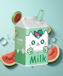 Wassermelone-Eis LAVIE Milch 7000 Puffs 16ML Typ C Wiederaufladbar