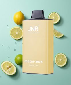 Zitrone & Limette JNR Mega Box 25000 Puffs Typ-C Schnellladung Dual Mesh Coil